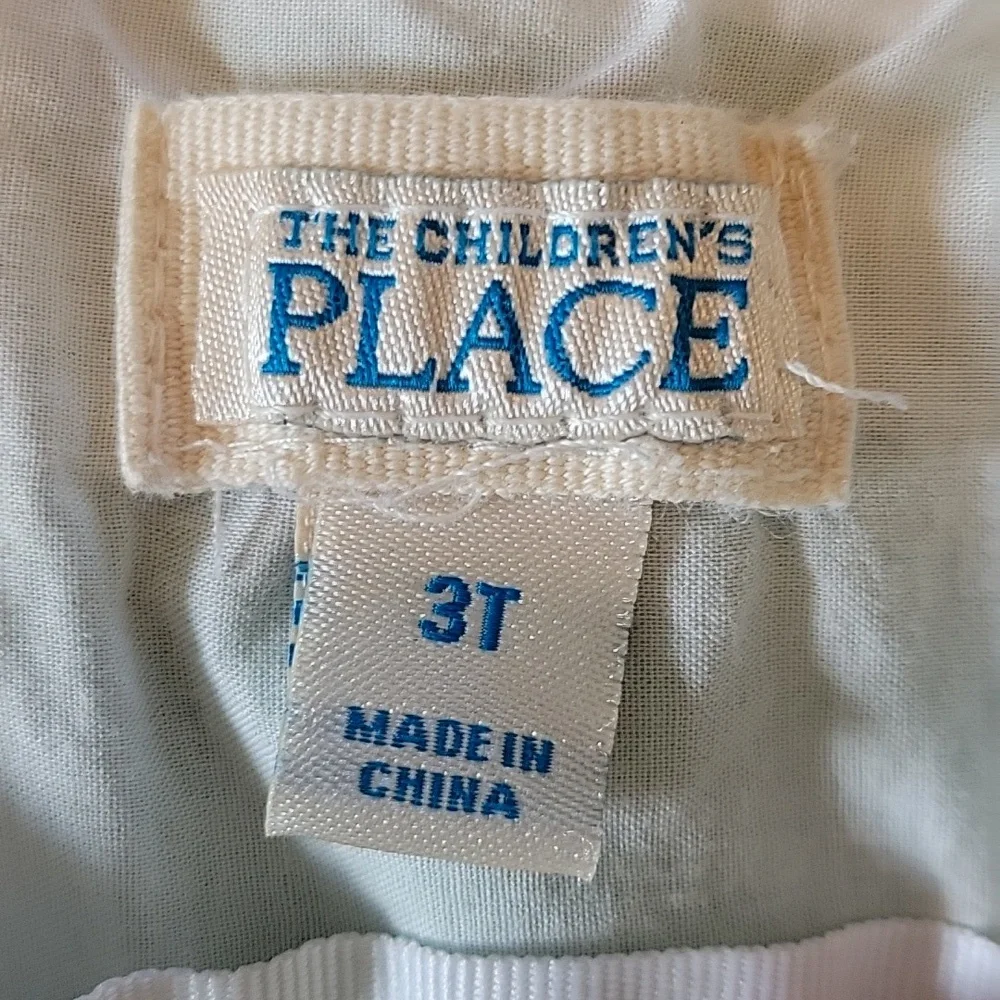 Childern's Place Fit and Flare Dress with Barrettes, Size 3T